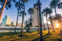 City Guide to Living in Tampa and Its Neighborhoods