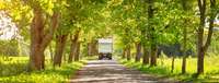 Introduction To Spring Moving: Why It's The Ideal Season For Relocation