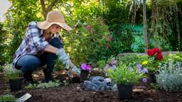Want To Start A Garden? Here Are 10 Steps That May Help You Create Your Very Own Lush, Green Space From Scratch