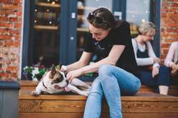 Don't Want To Leave Your Dog Behind On Your Next Trip? These 10 American Cities Are The Most Pet-Friendly In The United States, According To Yelp