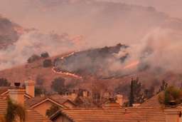 How Can I Prepare for A Wildfire? What To Do Before, While, And After Disaster Strikes